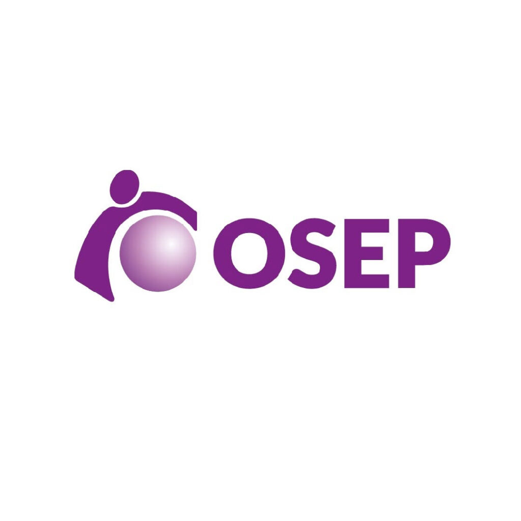 iconos os 07